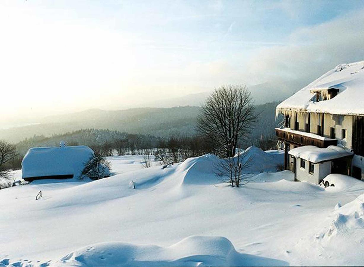 Pension Draxlerhof Neuschönau Exteriér fotografie