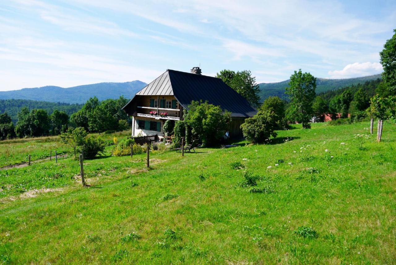 Pension Draxlerhof Neuschönau Exteriér fotografie